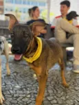 Docinho
