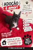 Pingo