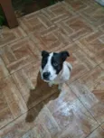 Lambada