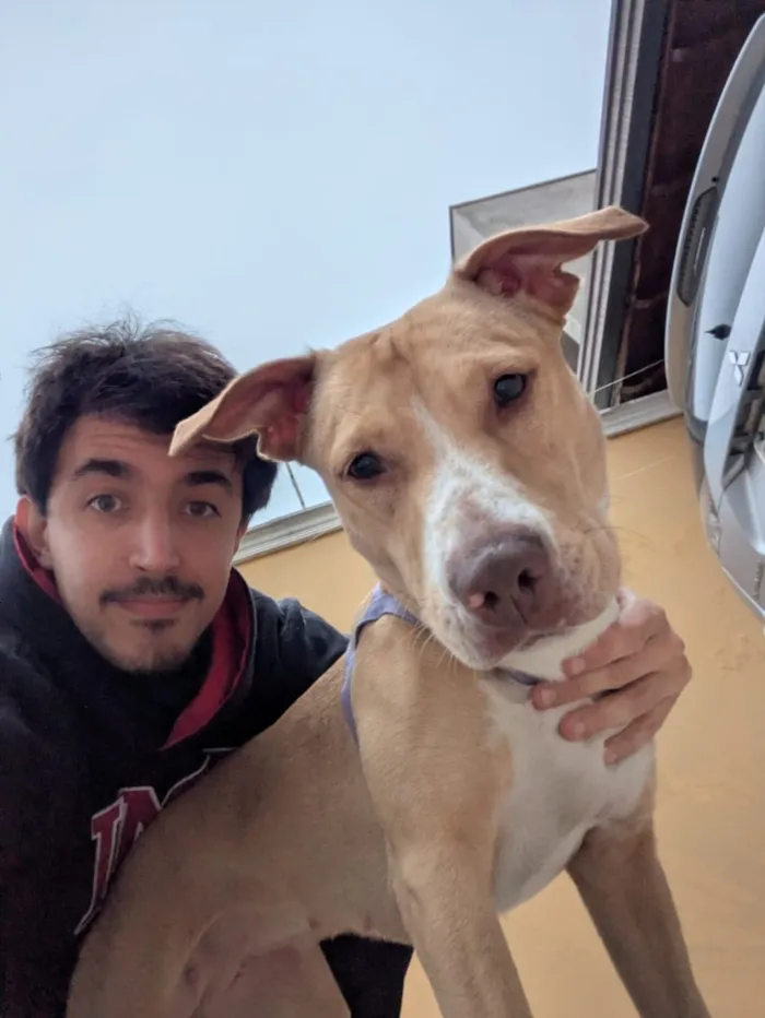 Cachorro raça SRD-ViraLata idade 1 ano nome Meg