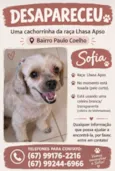 Sofia