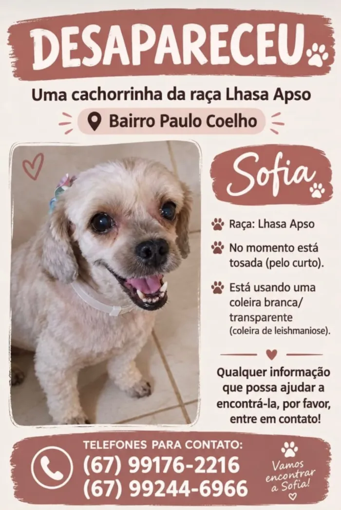 Cachorro raça Lhasa Apso idade 6 ou mais anos nome Sofia