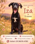 Dalila