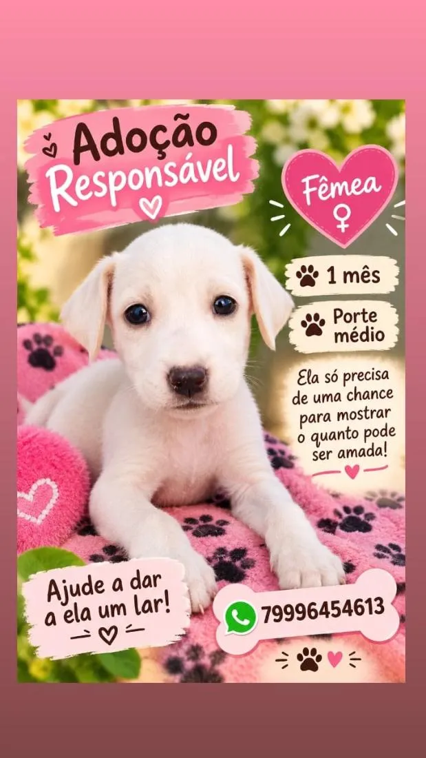 Cachorro raça SRD-ViraLata idade Abaixo de 2 meses nome filhotes