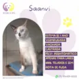 Saanvi