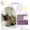 Judith