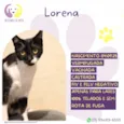 Lorena