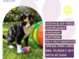 Lylee