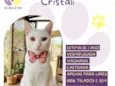 Cristali