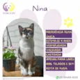 Nina