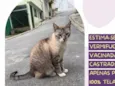 Vicky
