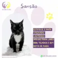 Sansão