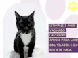 Sansão