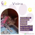 Vitória
