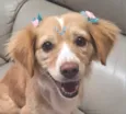 Nala