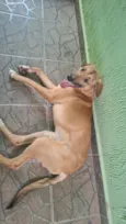 nao sabemos, achamos na rua