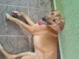 nao sabemos, achamos na rua