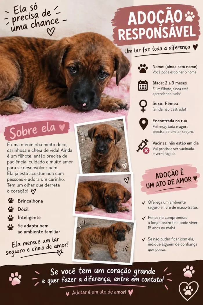 Cachorro raça SRD-ViraLata idade 2 a 6 meses nome princesa