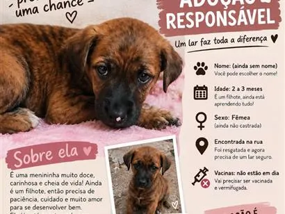 Cachorro raça SRD-ViraLata idade 2 a 6 meses nome princesa