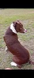 Bella