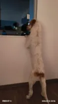 Mel