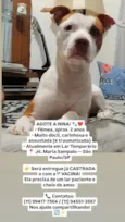 Nina