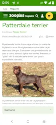 Duque 