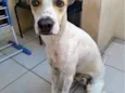 Lucky