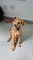 Billy