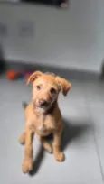 Billy