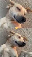 Mel