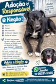 Negão