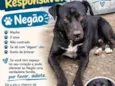 Negão
