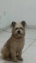 Bob 