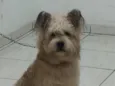 Bob 