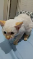 rubi