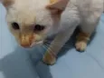 rubi