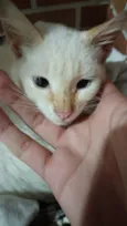 rubi
