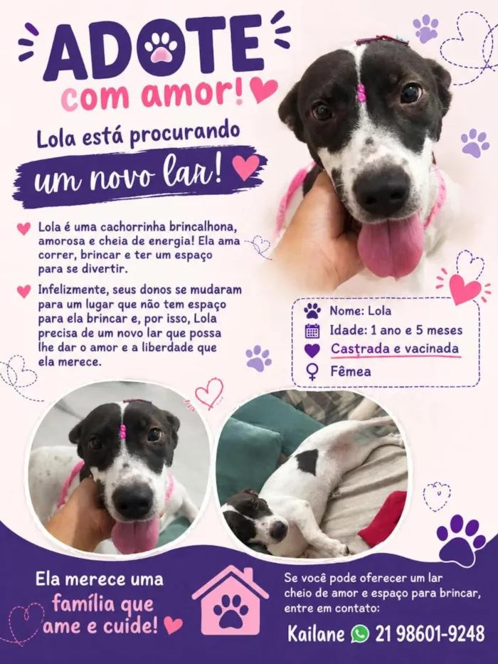 Cachorro raça SRD-ViraLata idade 1 ano nome Lola