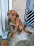 Não sei o nome 