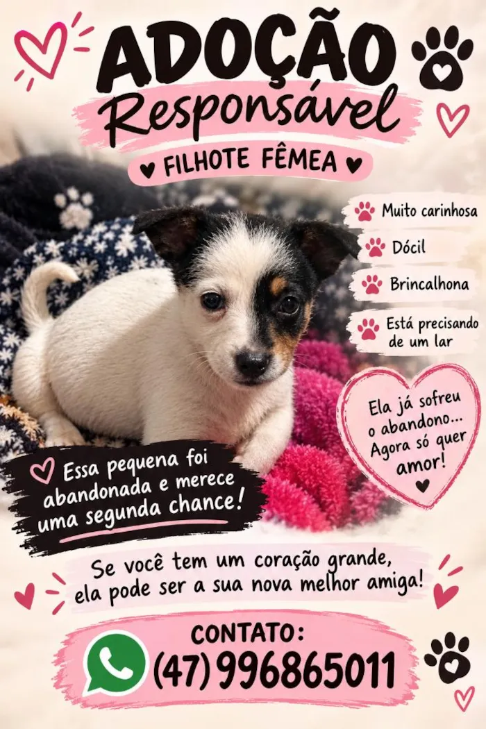 Cachorro raça SRD-ViraLata idade 2 a 6 meses nome Trix