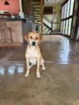 Mel