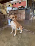 Mel
