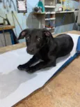 Kadu