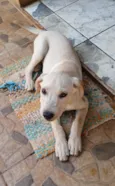 Krypto