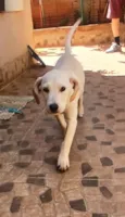Krypto
