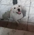 Krypto