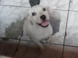 Krypto