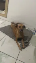 Princesa  e branco 
