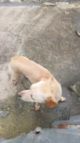 não tem nome 